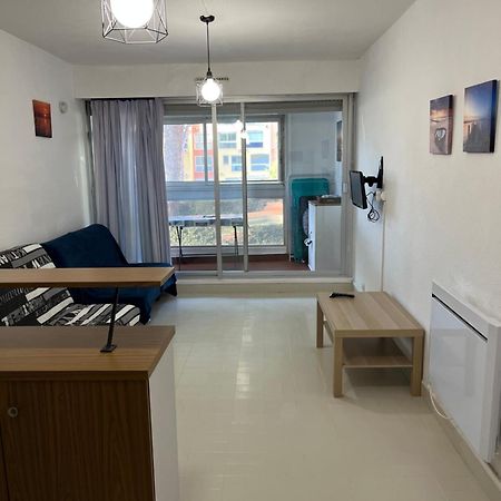 Studio 4 Couchages Avec Piscine D'Ete Vue Port 阿格德 外观 照片
