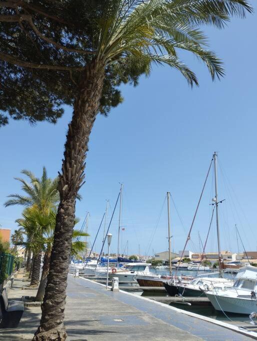 Studio 4 Couchages Avec Piscine D'Ete Vue Port 阿格德 外观 照片