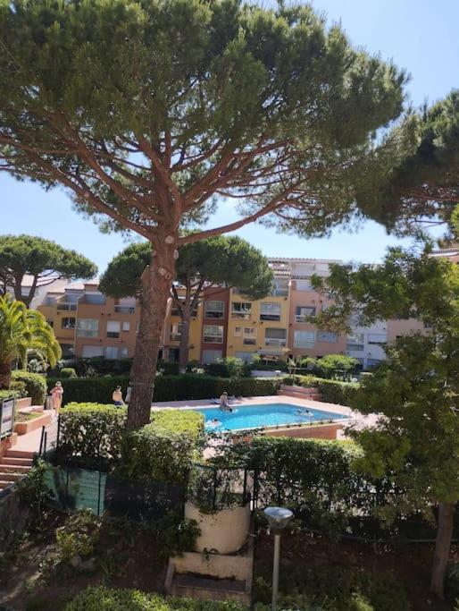 Studio 4 Couchages Avec Piscine D'Ete Vue Port 阿格德 外观 照片